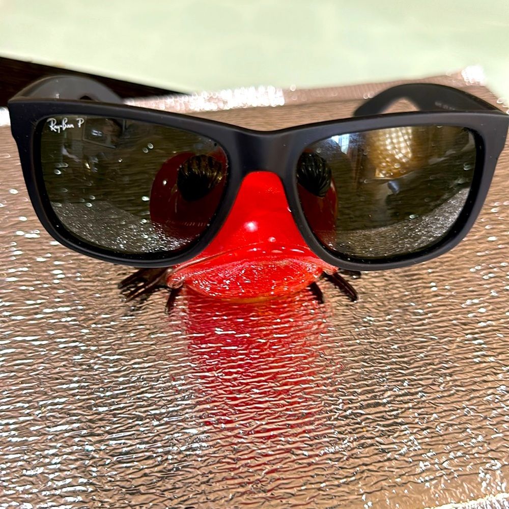 Ray-Ban Sunglasses